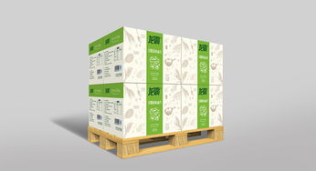 从创意到货架 食品面食包装箱的模型设计与创新路径